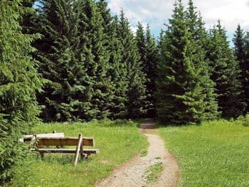 Alt Ämter Wandermarsch am 23.08.2026 in Düderode Symbolbild für Alt Ämter Wandermarsch