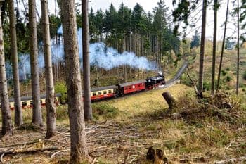 Harz-Gebirgslauf am 10.10.2026 in Wernigerode Symbolbild für Harz-Gebirgslauf
