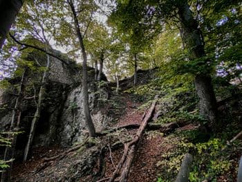 Heubach wandert am 05.09.2026 in Heubach Symbolbild für Heubach wandert