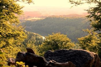 HochWaldTrail am 29.05.2027 in Osburg Symbolbild für HochWaldTrail