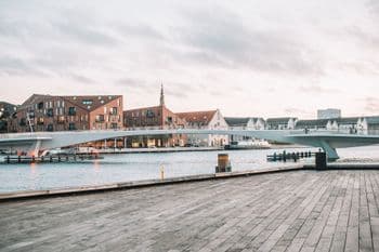 Mammutmarsch Kopenhagen am 01.05.2027 in Kopenhagen Symbolbild für Mammutmarsch Kopenhagen