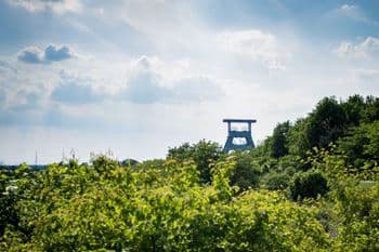 Mammutmarsch Ruhrgebiet am 24.04.2027 in Duisburg Symbolbild für Mammutmarsch Ruhrgebiet