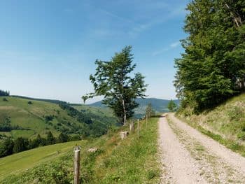 Renchtäler Wandermarathon am 19.09.2026 in Lautenbach Symbolbild für Renchtäler Wandermarathon
