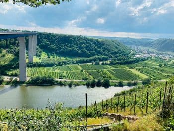 Rhein-Mosel-Marathon (Samstag) am 24.10.2026 in Winningen Symbolbild für Rhein-Mosel-Marathon (Samstag)