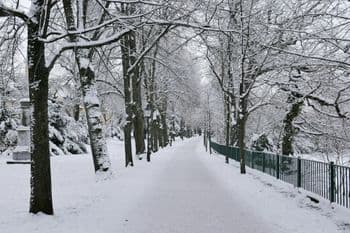 Winter Walk am 27.12.2026 in Freiberg Symbolbild für Winter Walk