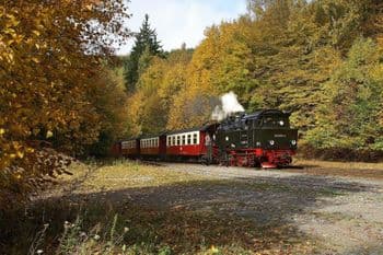 Wir4Gemeinsam 50 km Marsch am 26.09.2026 in Aschersleben Symbolbild für Wir4Gemeinsam 50 km Marsch